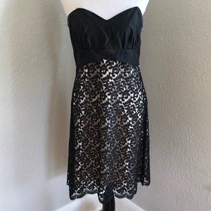 White House Black Market black and cream with lace overlay strapless dress